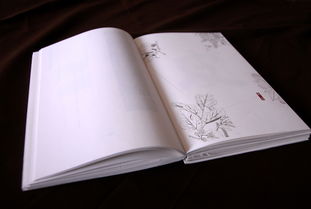 傳統(tǒng)手工紙在書籍裝幀中的藝術(shù)魅力